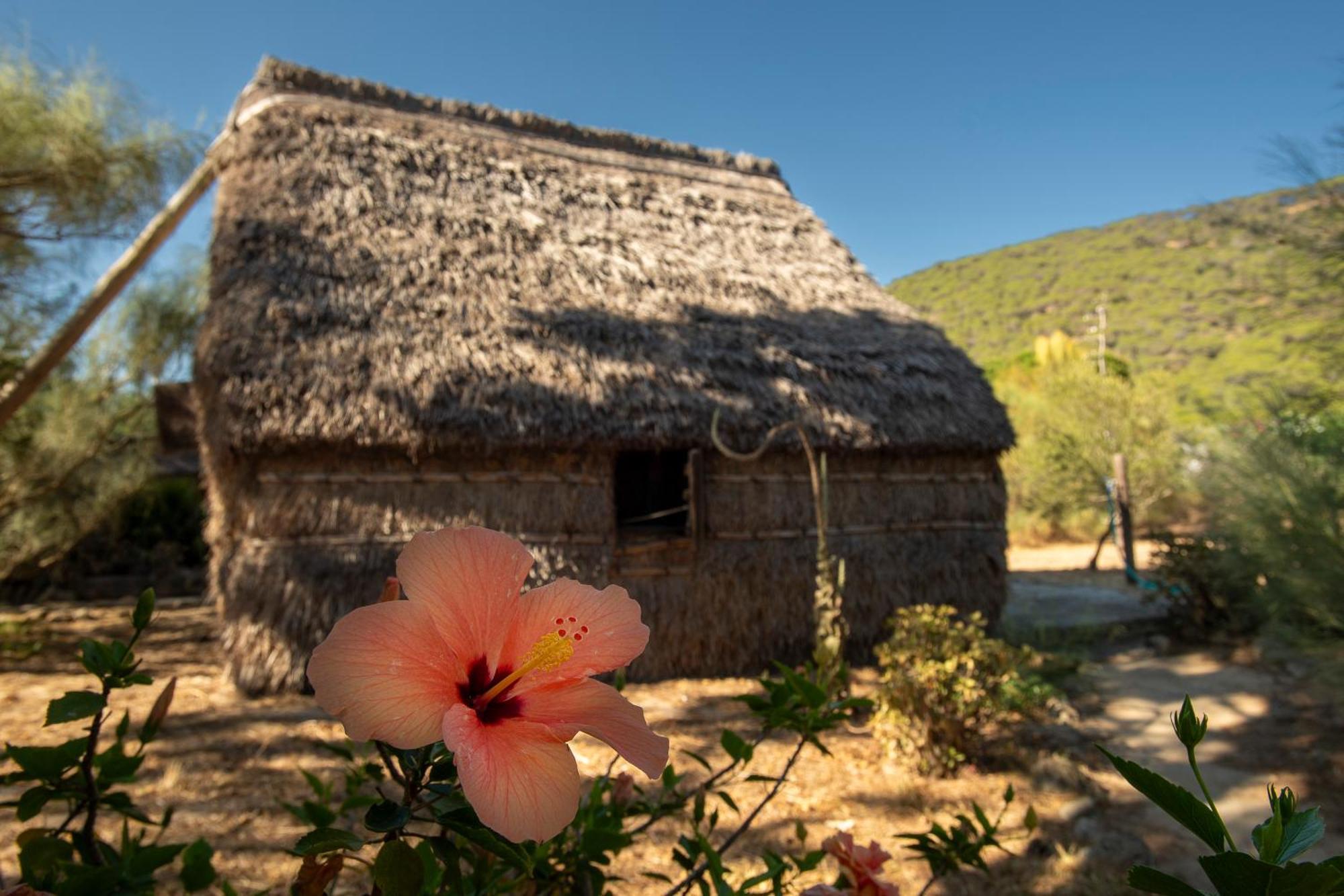 Casas Karen Apartment Los Canos De Meca Bagian luar foto